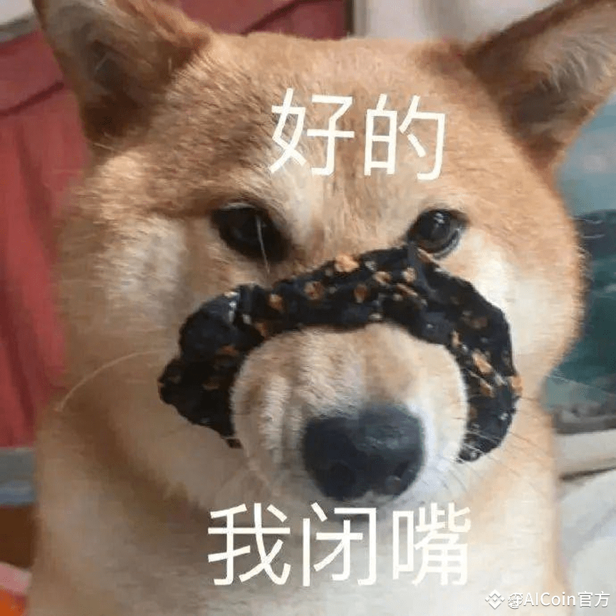 Binance 上币困境:残酷的救赎之路