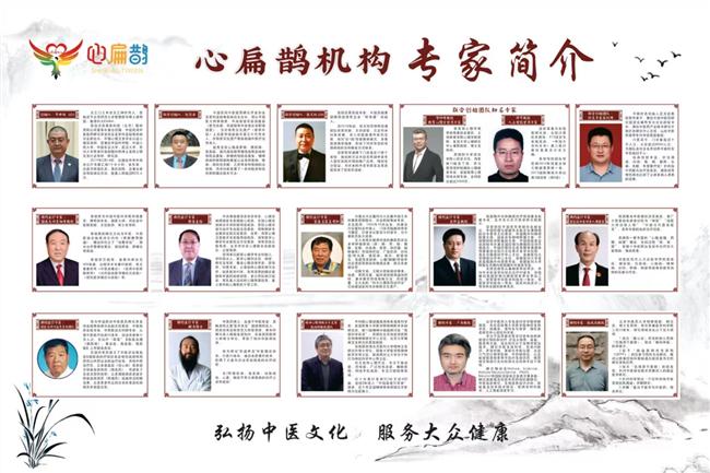 AI中醫太乙億生：文藝復興或智商稅？林智群、王義川觀點 анализис
